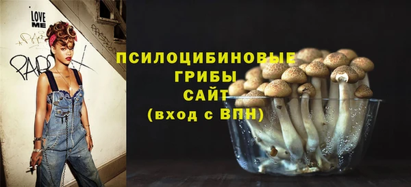 молекула духа Армянск