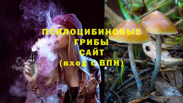 2c-b Арсеньев