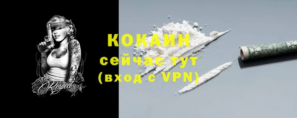трава Аркадак