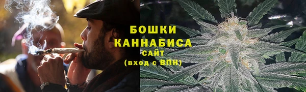 трава Аркадак